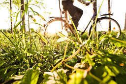 Eine Person fährt auf dem Mountainbike durch das saftige grüne Gras in Bad Füssing.