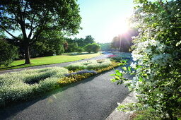 Lichtdurchfluteter Park mitten in der Natur von Bad Füssing, ideal für einen ruhigen Urlaub.